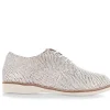 Derby Snake Shoe - RO11