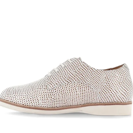 Derby Snake Shoe - RO11